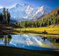 Fairy Meadows