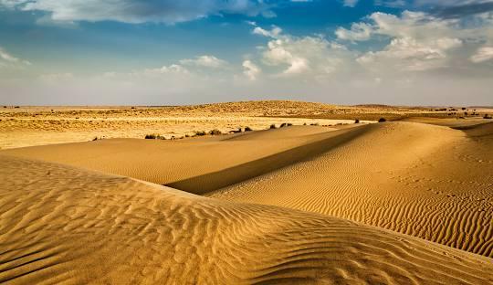 Thar Desert